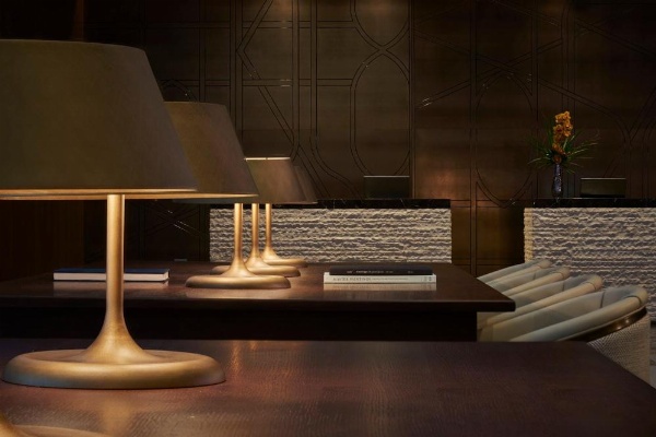 Loews Chicago Hotel image 16